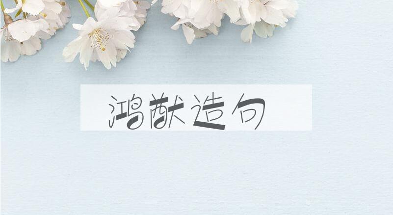 用鸿猷造句