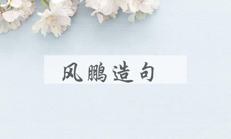 用风鹏造句