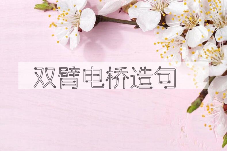 用双臂电桥造句