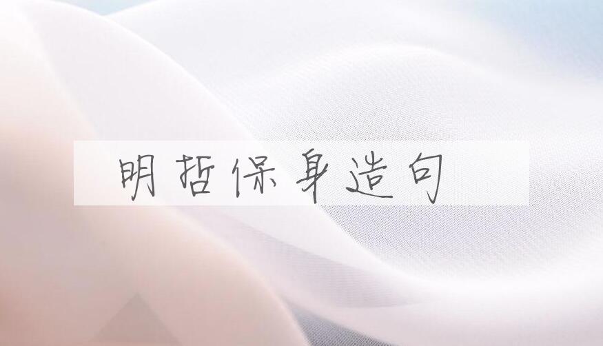用明哲保身造句