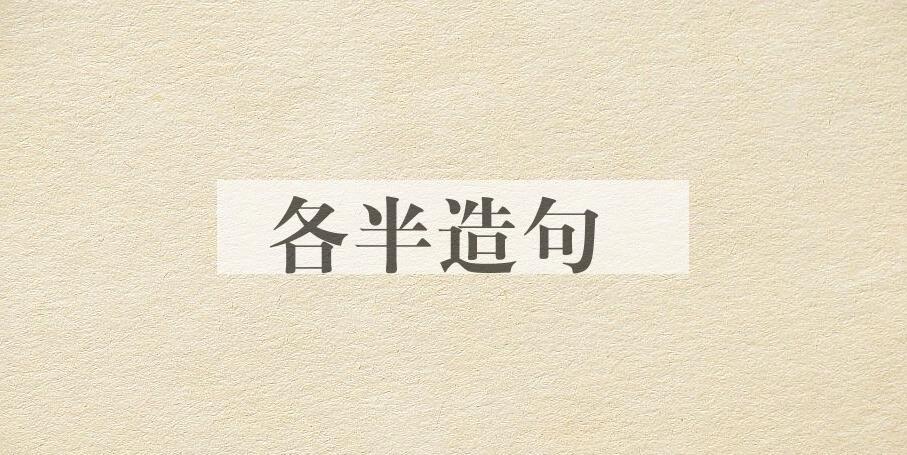 用各半造句