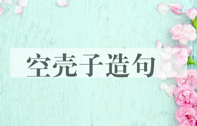 用空壳子造句