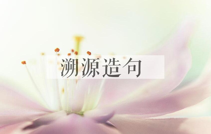用溯源造句