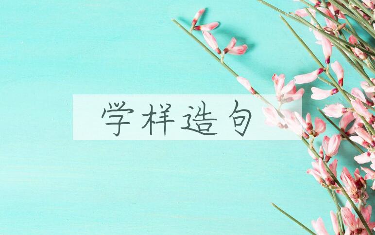 用学样造句