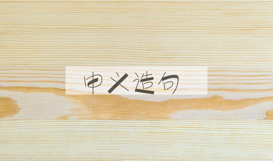 用申义造句