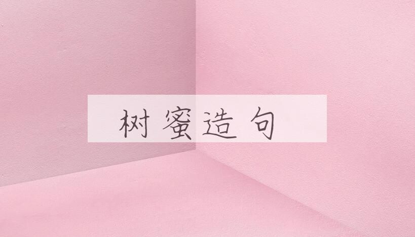 用树蜜造句