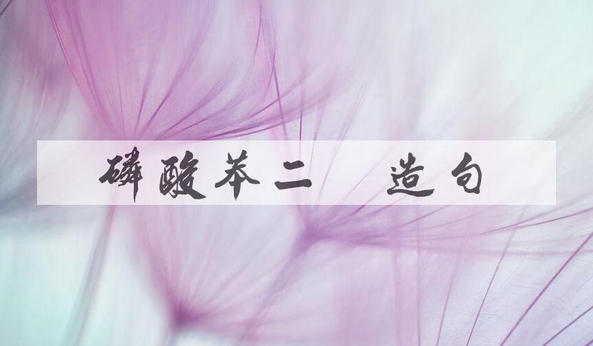 用磷酸苯二钠造句