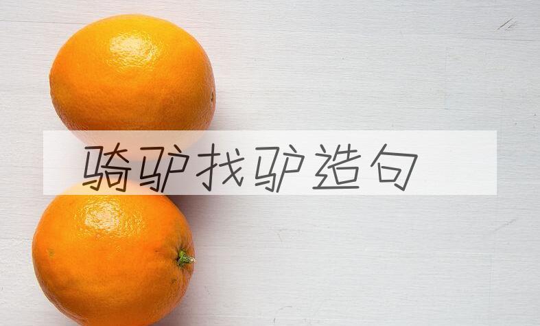 用骑驴找驴造句