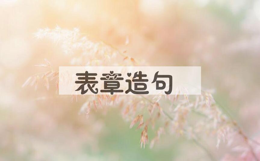 用表章造句
