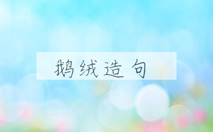 用鹅绒造句