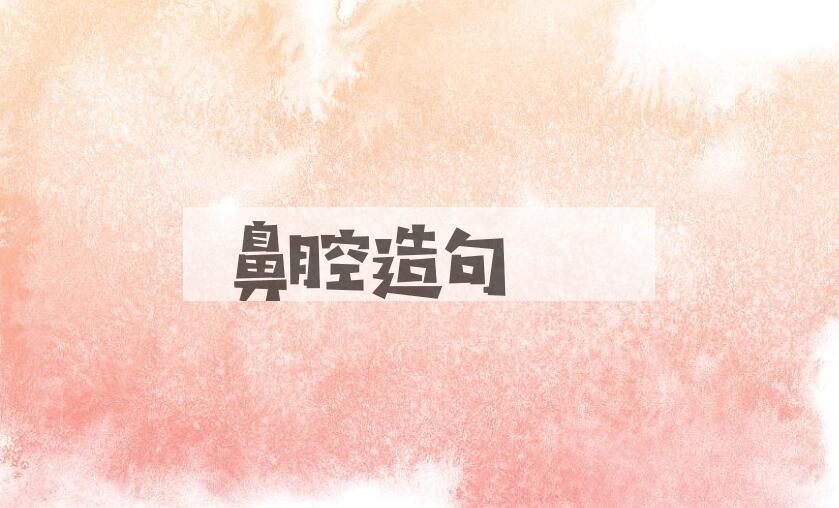 用鼻腔造句