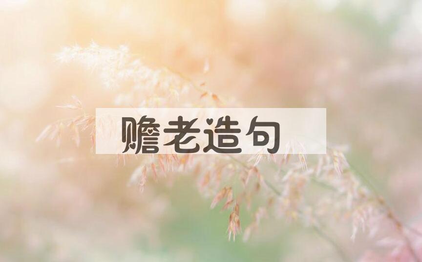 用赡老造句