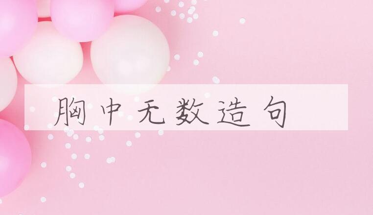 用胸中无数造句