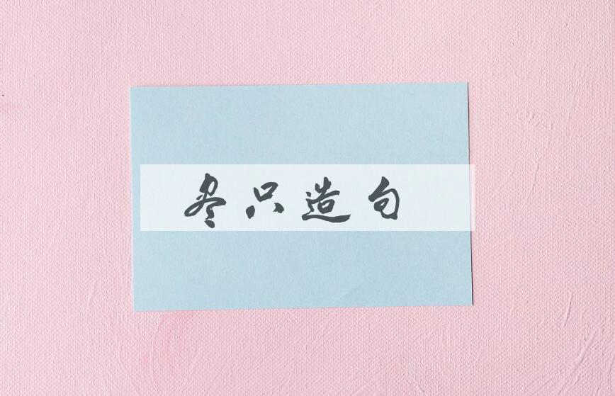 用尽只造句