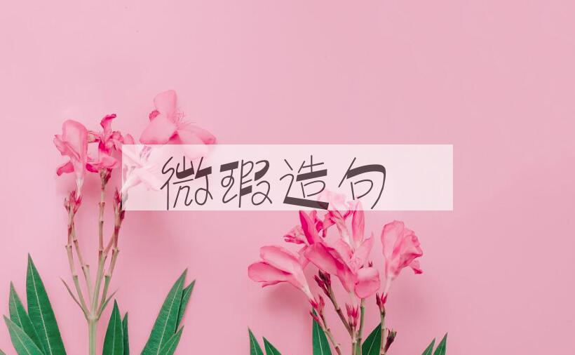 用微瑕造句