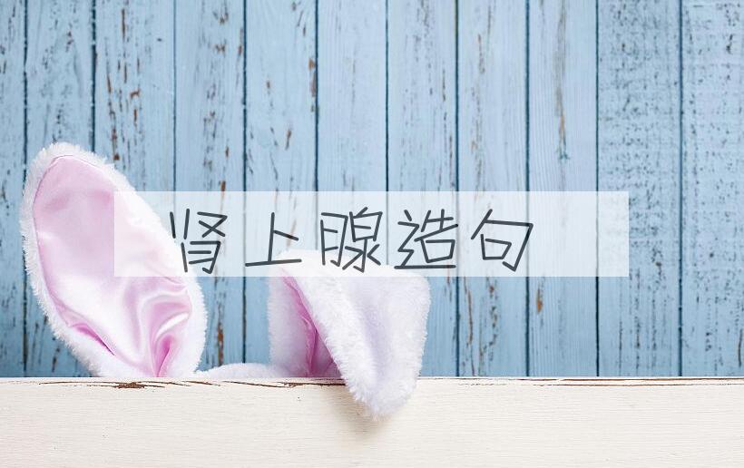 用肾上腺造句