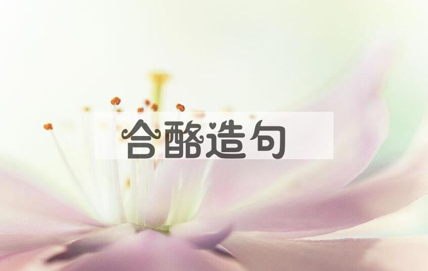 用合酪造句