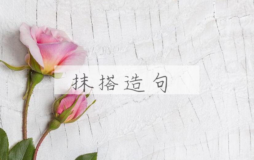 用抹搭造句