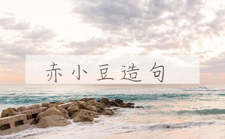 用赤小豆造句