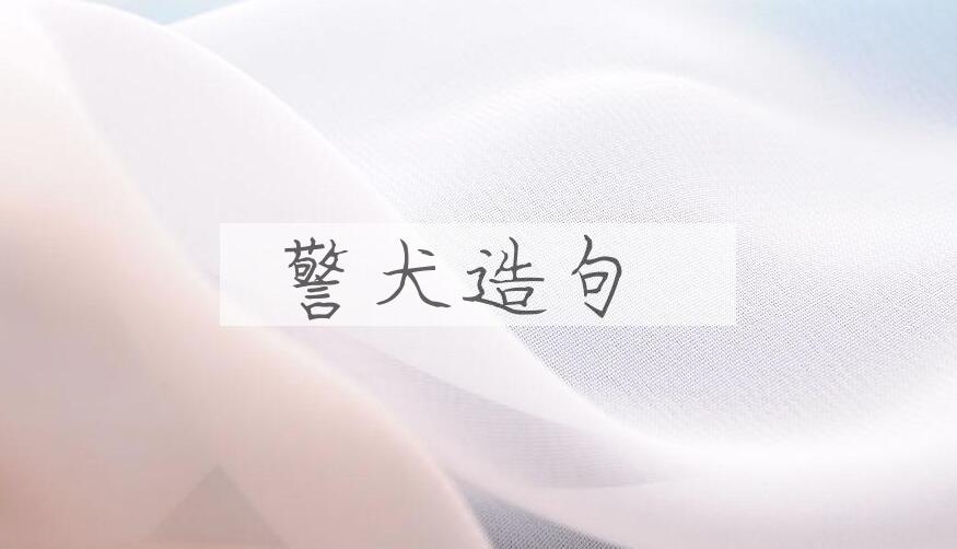 用警犬造句