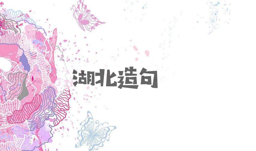 用湖北造句