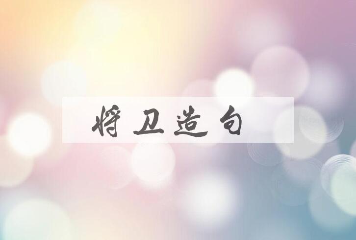 用将卫造句