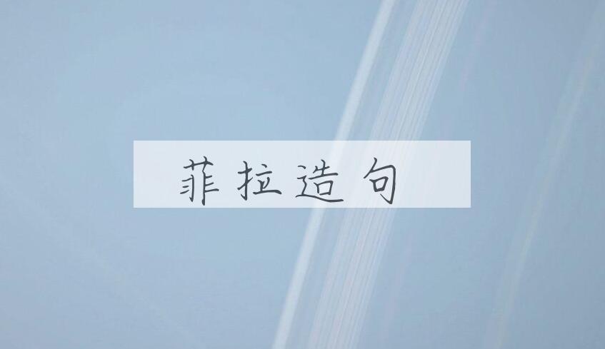 用菲拉造句