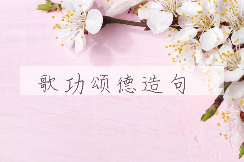 用歌功颂德造句
