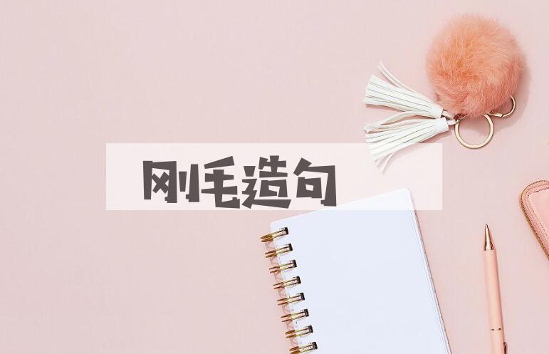 用刚毛造句