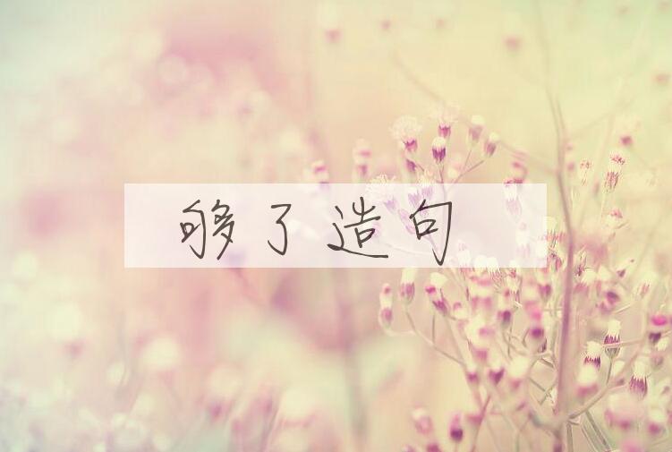 用够了造句