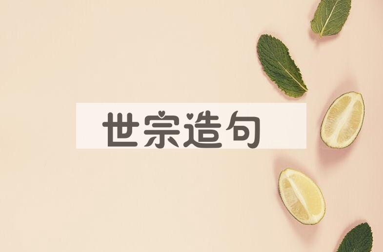 用世宗造句