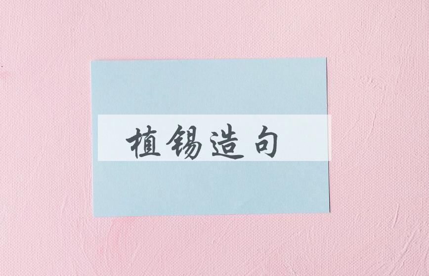 用植锡造句