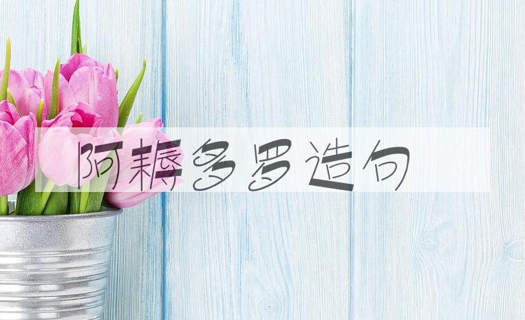 用阿耨多罗造句