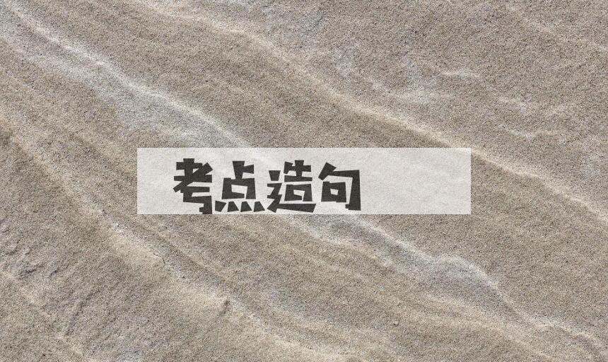 用考点造句