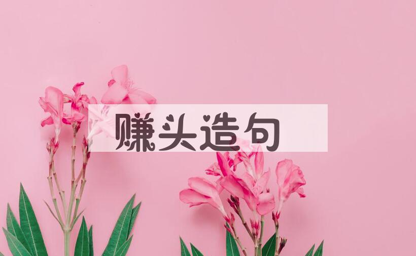 用赚头造句