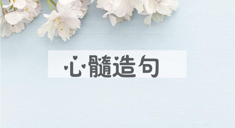 用心髓造句