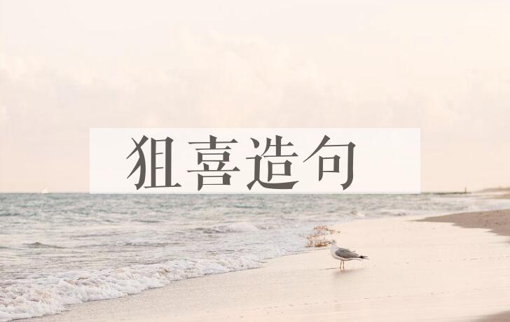 用狙喜造句