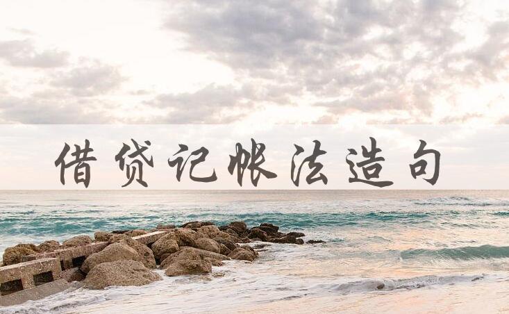 用借贷记帐法造句