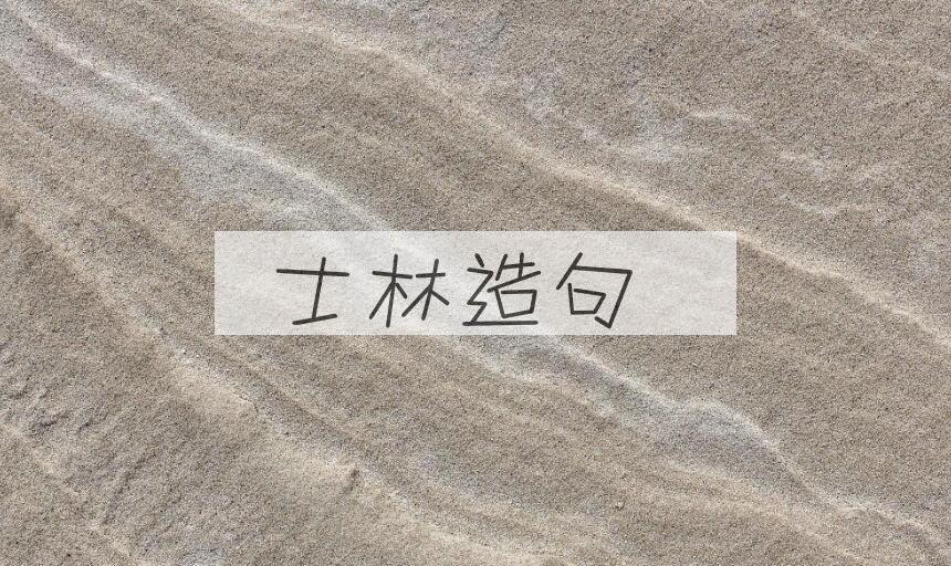 用士林造句