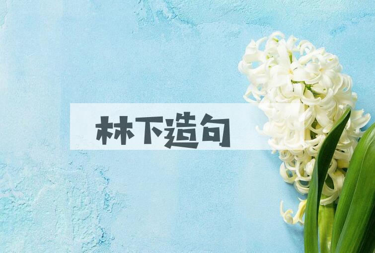 用林下造句