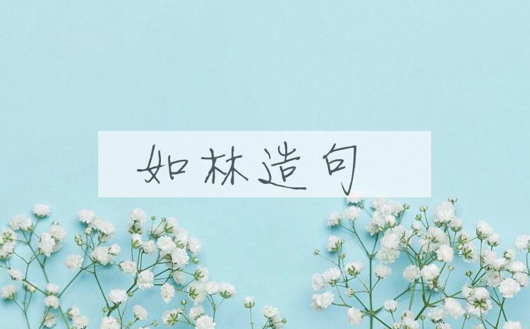 用如林造句