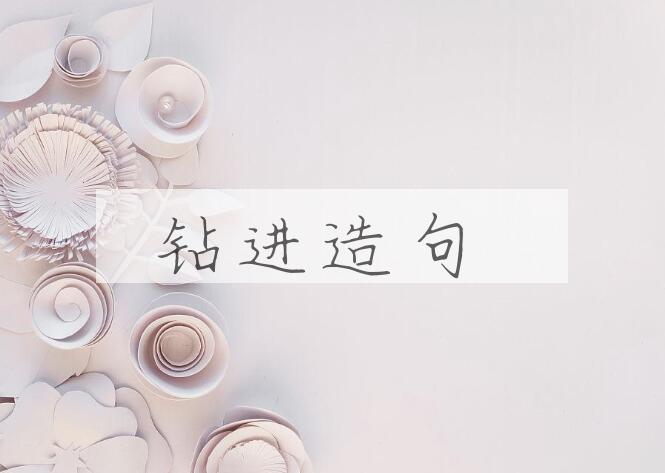 用钻进造句