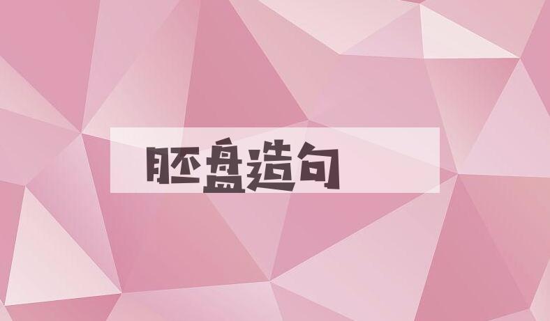 用胚盘造句