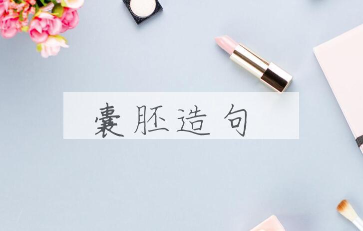 用囊胚造句