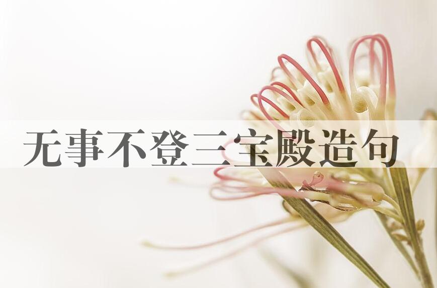 用无事不登三宝殿造句