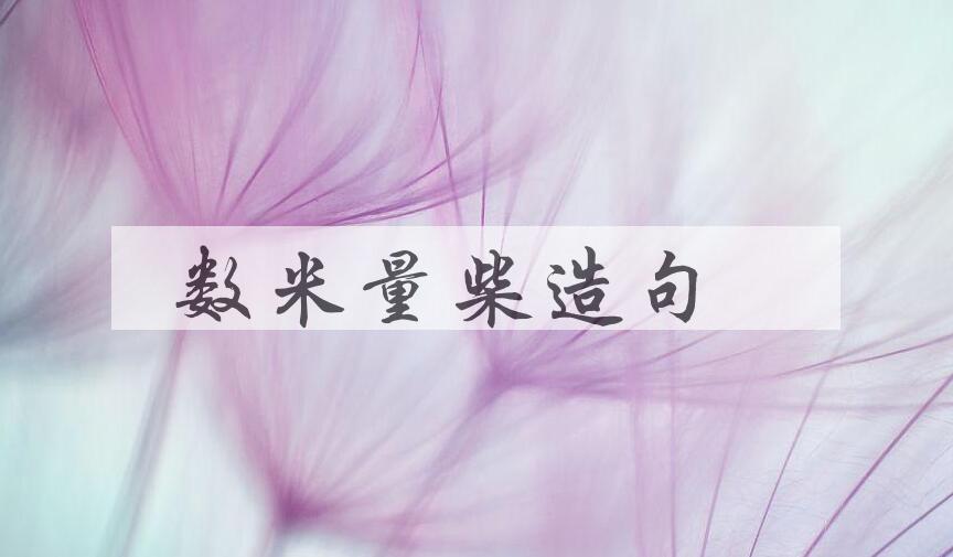 用数米量柴造句