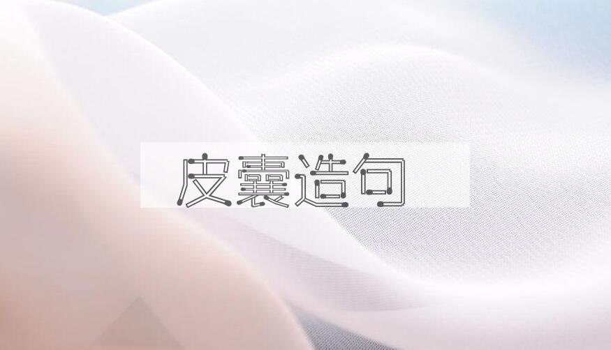 用皮囊造句
