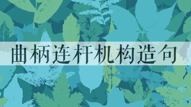 用曲柄连杆机构造句