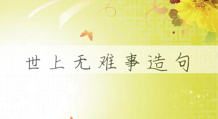 用世上无难事造句
