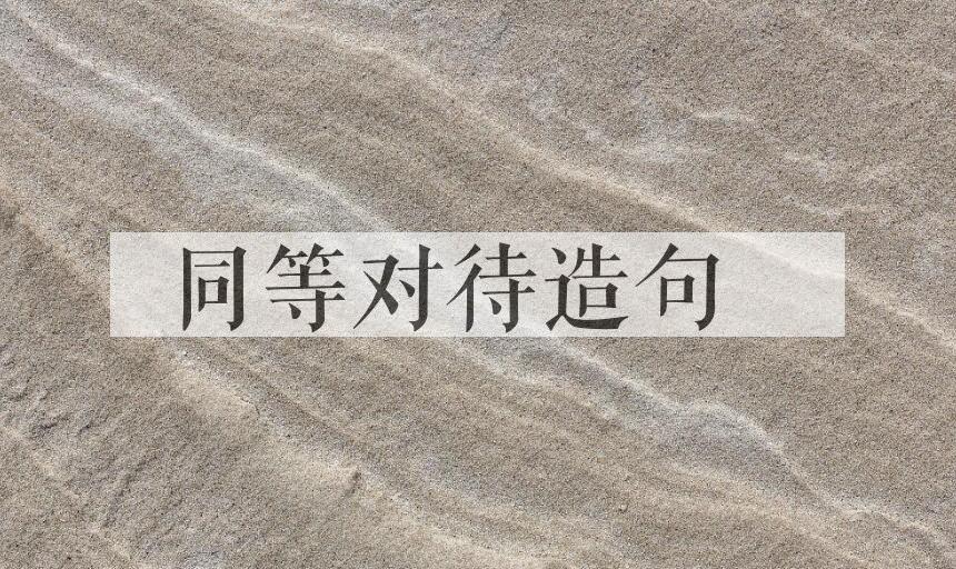 用同等对待造句